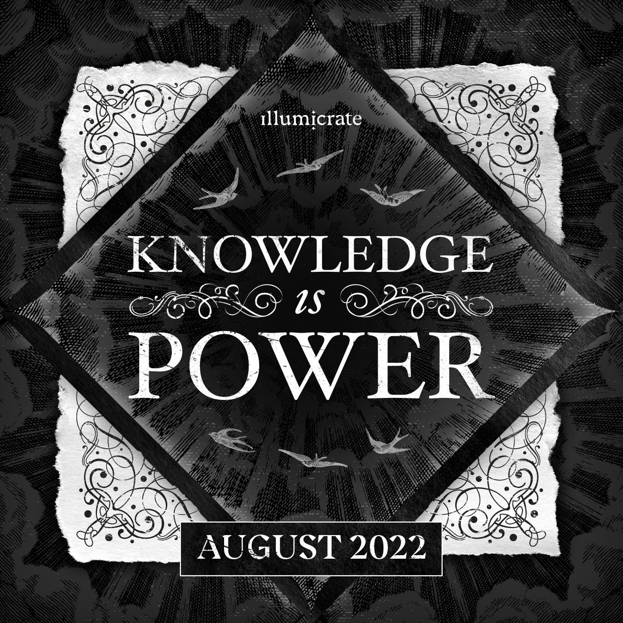 Illumicrate Knowledge is Power Babel outlet by R.F Kuang