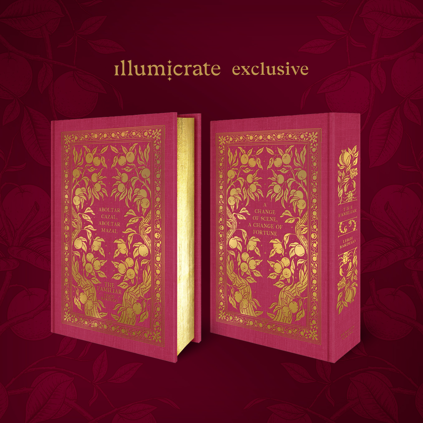Illumicrate Exclusive The Familiar by Leigh Bardugo Illumicrate